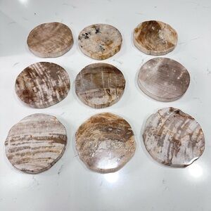 West Elm Petrified Wood Coasters - Brown and Cream
